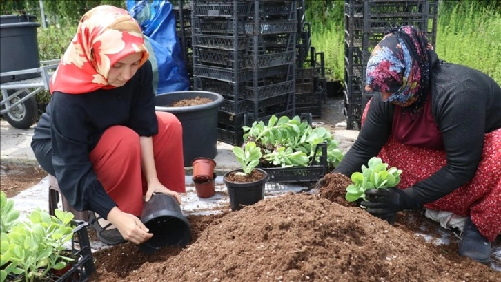 Mesleklerini bırakıp babalarının şirketini devralan kız kardeşler 15 ülkeye ihracat yapıyor