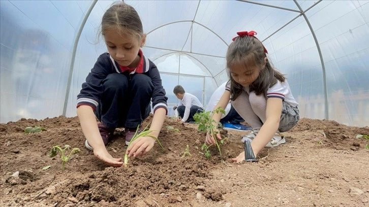 Minik öğrenciler doğa ve hayvan sevgisini uygulamalı öğreniyor