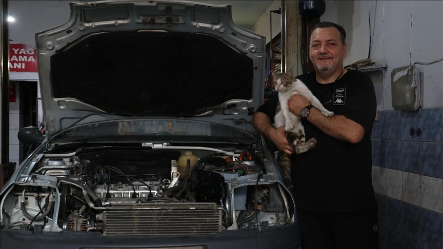 Motor ustasının 'Psikopat' kedisi sanayinin maskotu oldu