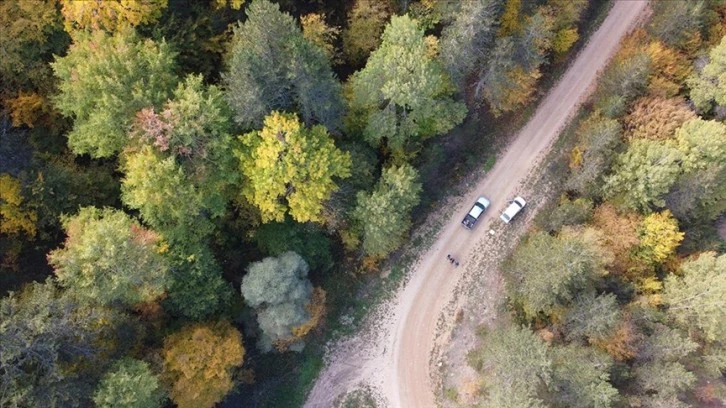 Mudurnu ormanları sonbaharda ayrı güzelliğe büründü