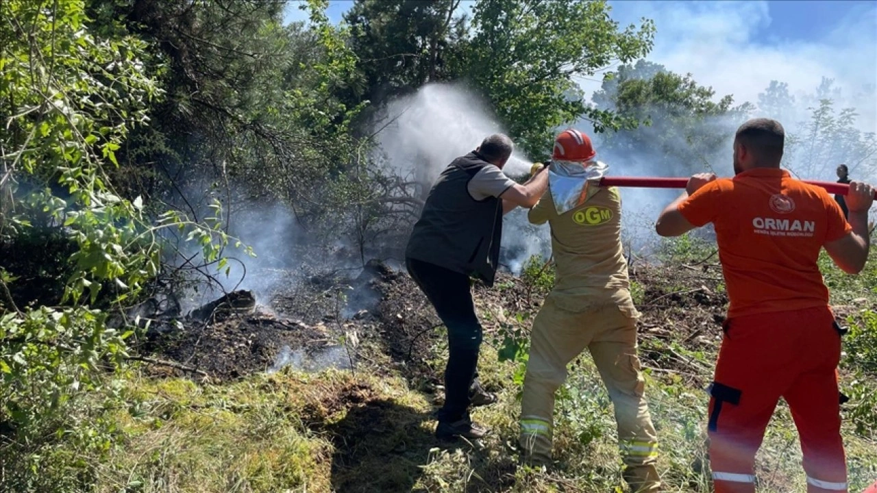 Muğla'da çıkan orman yangını söndürüldü