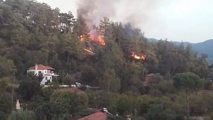 Muğla Ula'da orman yangını başladı