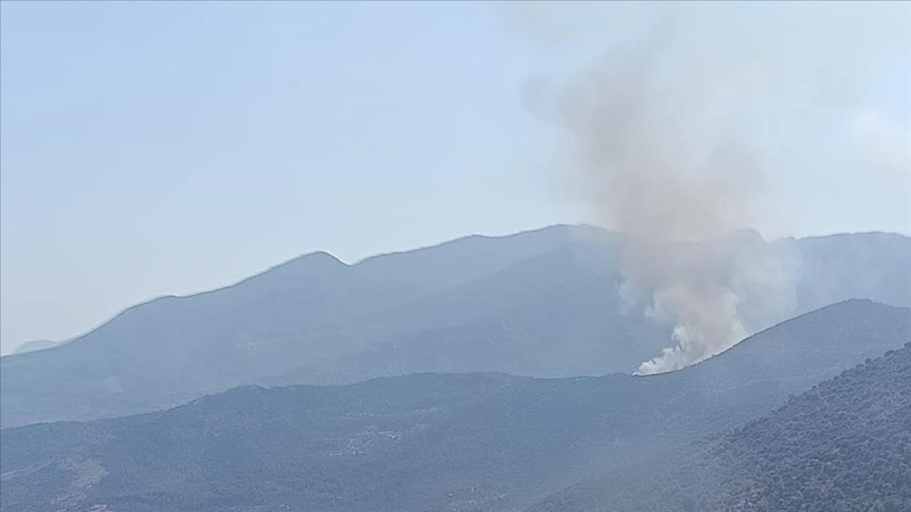 Muğla ve Adana'daki orman yangınlarına müdahale ediliyor