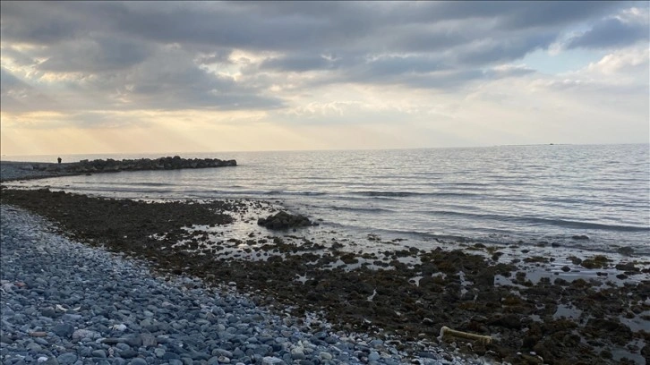 Muğla ve Hatay'da deniz suyu çekildi