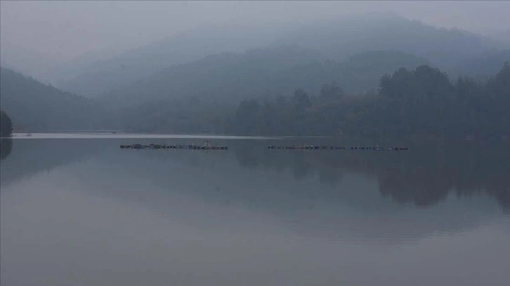 Muğla'da bol yağışlı geçen kış baraj ve su kuyularına yaradı