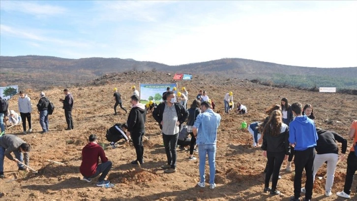 Muğla'da büyük yangınların ikinci yılında yanan alanlar tekrar yeşeriyor