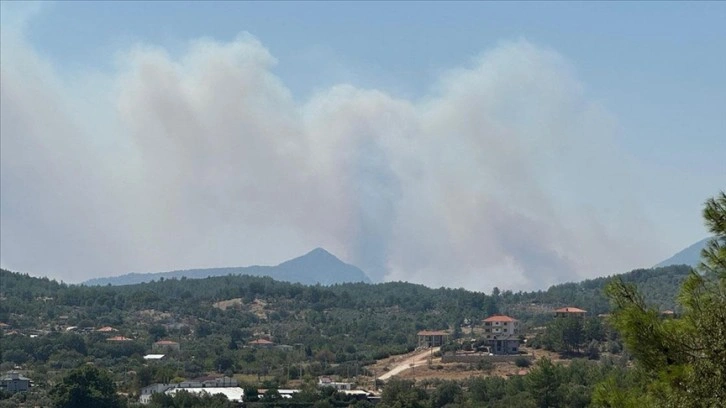 Muğla'da çıkan orman yangınına müdahale ediliyor