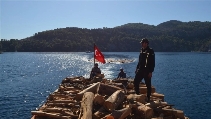 Muğla'da karadan ulaşımın olmadığı noktalarda kesilen ağaçlar tekneyle taşındı
