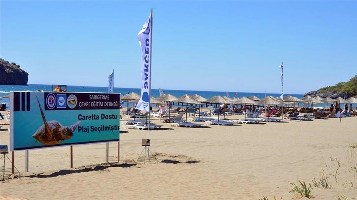 Muğla'daki kum zambaklarıyla ünlü halk plajına 'Caretta Dostu Plaj' unvanı verildi