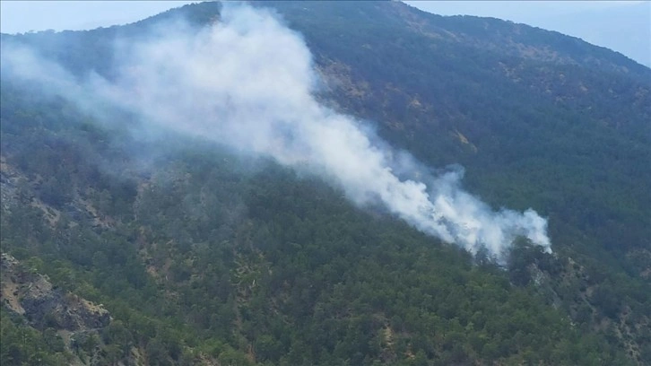 Muğla'daki orman yangını söndürüldü