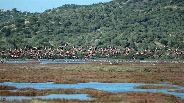 Muğla'daki Tuzla Sulak Alanı misafirlerini ağırlamaya başladı