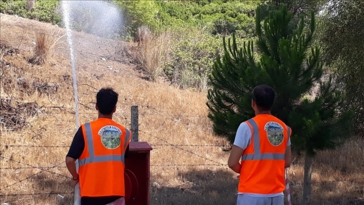 Muğla'nın kum zambaklarıyla ünlü halk plajında yangın tatbikatı yapıldı