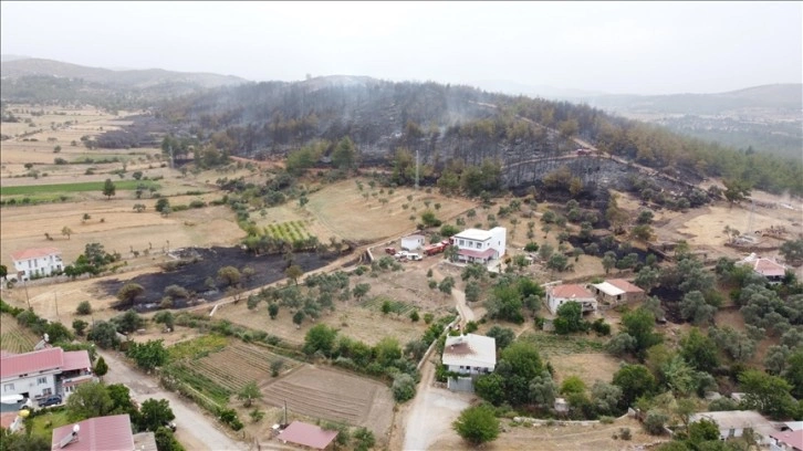 Muğla'nın Milas ilçesinde çıkan orman yangını kontrol altına alındı