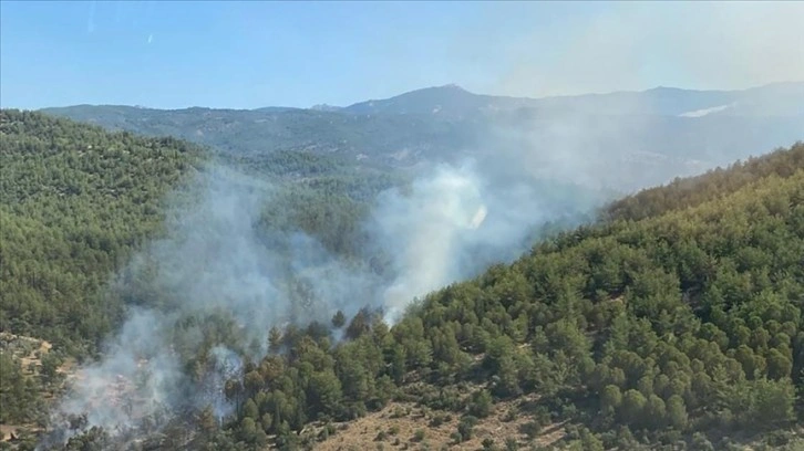 Muğla'nın Milas ilçesinde çıkan orman yangını söndürüldü