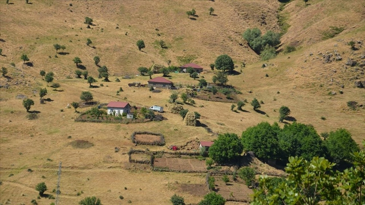 Muş'ta huzur ortamının sağlandığı Şenyayla bölgesine 100 hane dönüş yaptı
