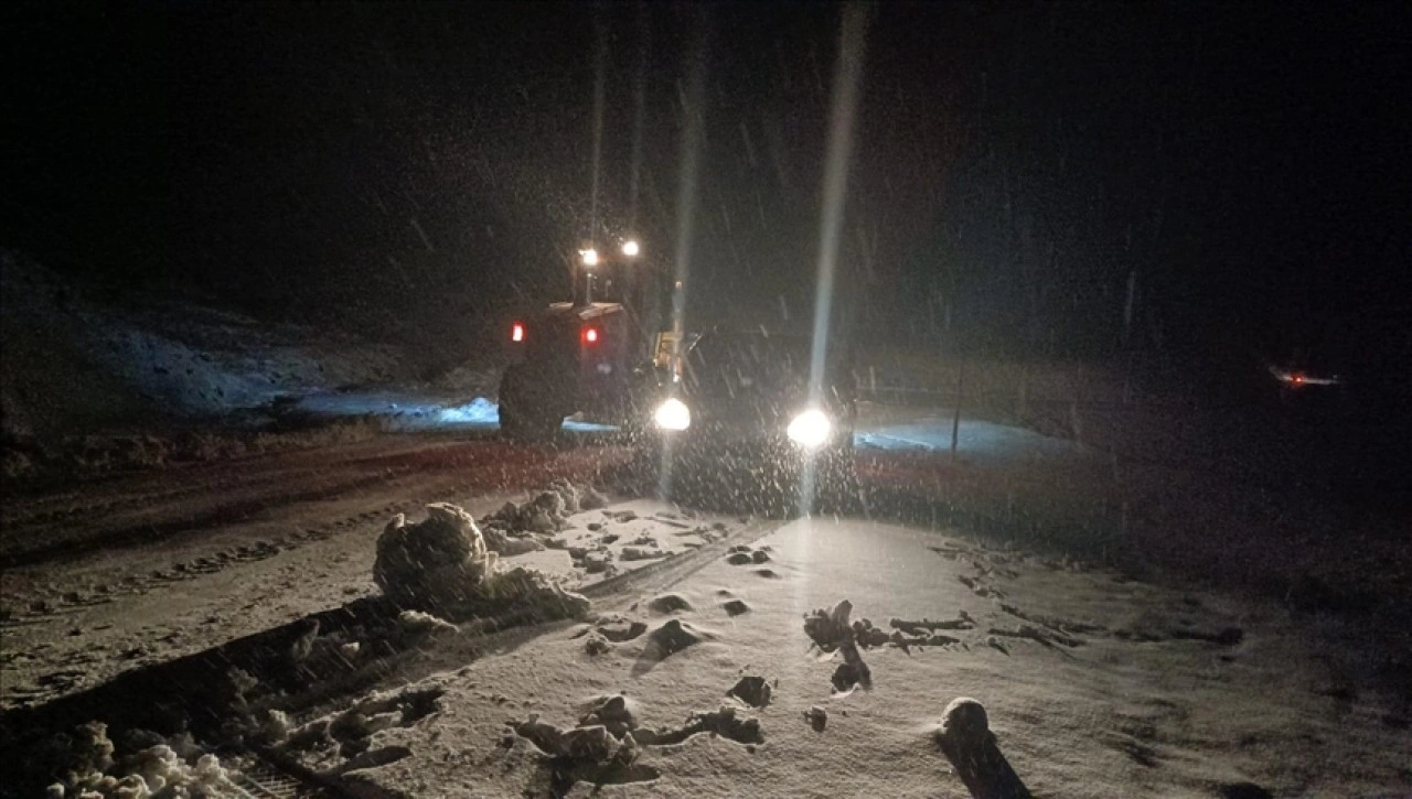 Muş ve Kars'ta kar etkili oluyor