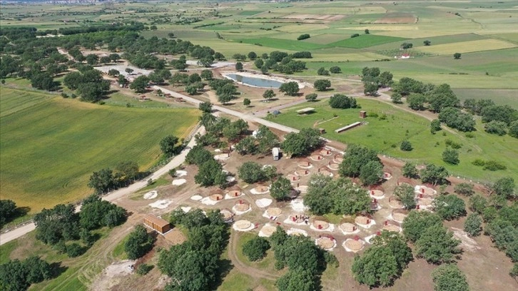 Musabeyli Korusu Edirne'nin yeni cazibe merkezi olacak