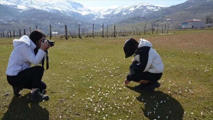 Muş'ta kursiyerler kardelenlerin açtığı bölgeyi fotoğrafladı