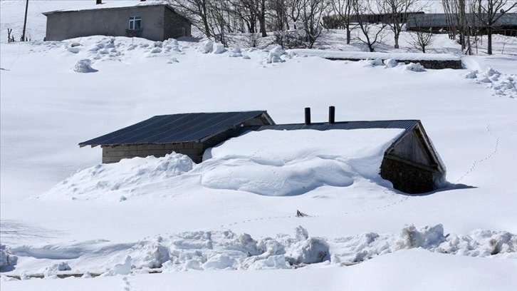 Muş'taki bazı köylerde tek katlı evler ve ahırlar karla kaplandı