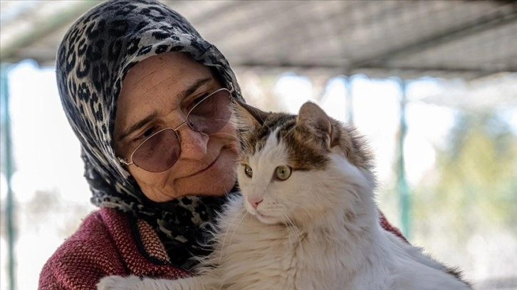 Müstakil evinin bir katını sokak kedilerine yuva yaptı