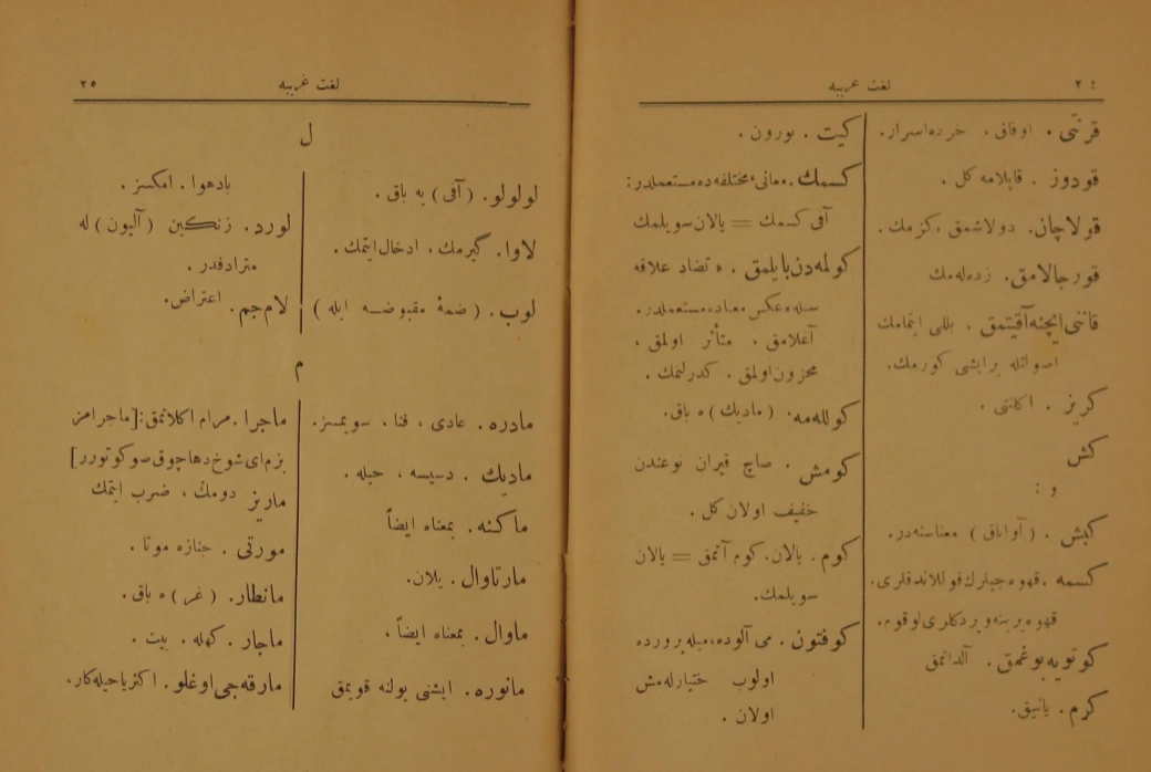 Lûgat-ı Garîbe/Kaf-Ye (çeviri 3) -Sami Mert yazdı-