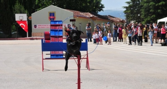 Narkotik köpeği “Bahis” ile bomba arama köpeği “Uydu”