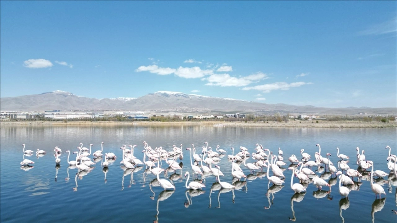Niğde'deki barajların doluluk oranı kuraklık nedeniyle düştü