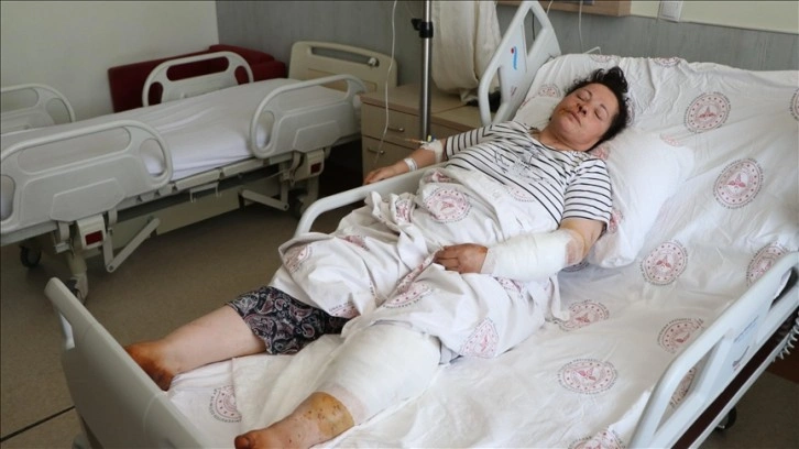 Niğde'de sahipli 2 köpeğin saldırdığı kadın yaralandı