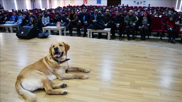 Öğrenciler eğitimli köpek 'Fox' ile hem eğleniyor hem bilinçleniyor