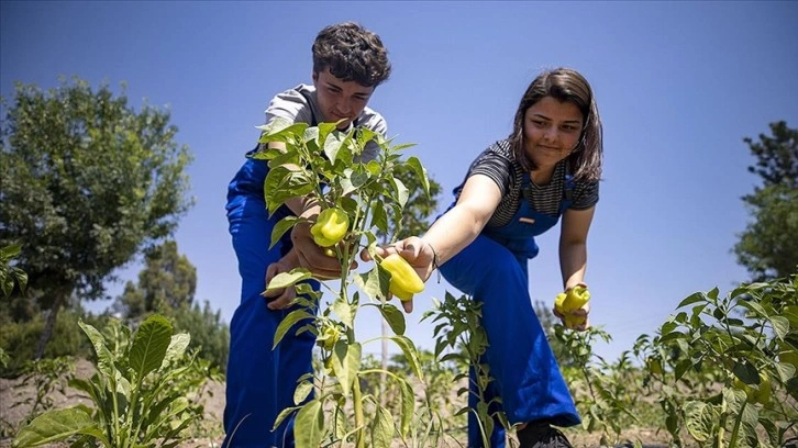 Öğrenciler istihdam garantili lisede mezun olmadan iş teklifi alıyor