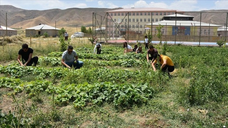 Öğretmen ve öğrenciler bostanda yetiştirdikleri ürünleri ihtiyaç sahiplerine ulaştırıyor