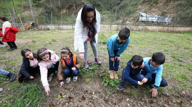 Öğretmenin ata tohumu sevgisi öğrencilerinin elinde fideye dönüşüyor