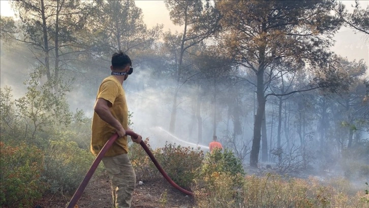 Orman yangınlarına sebep oldukları gerekçesiyle bir haftada 7 şüpheli gözaltına alındı