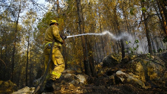 'Orman yangınlarının yüzde 76'sı 11.00-19.00 saatlerinde çıkıyor'