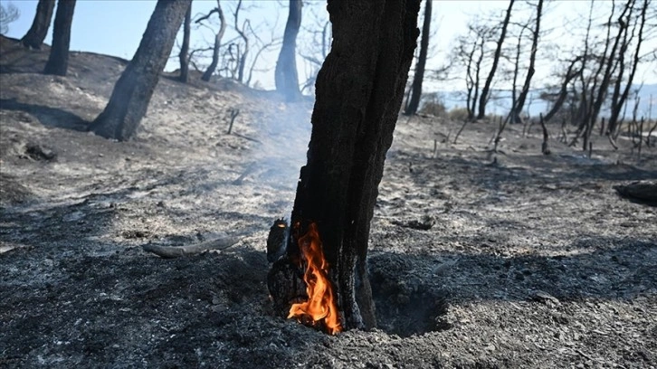 Orman yangınlarıyla mücadelede 