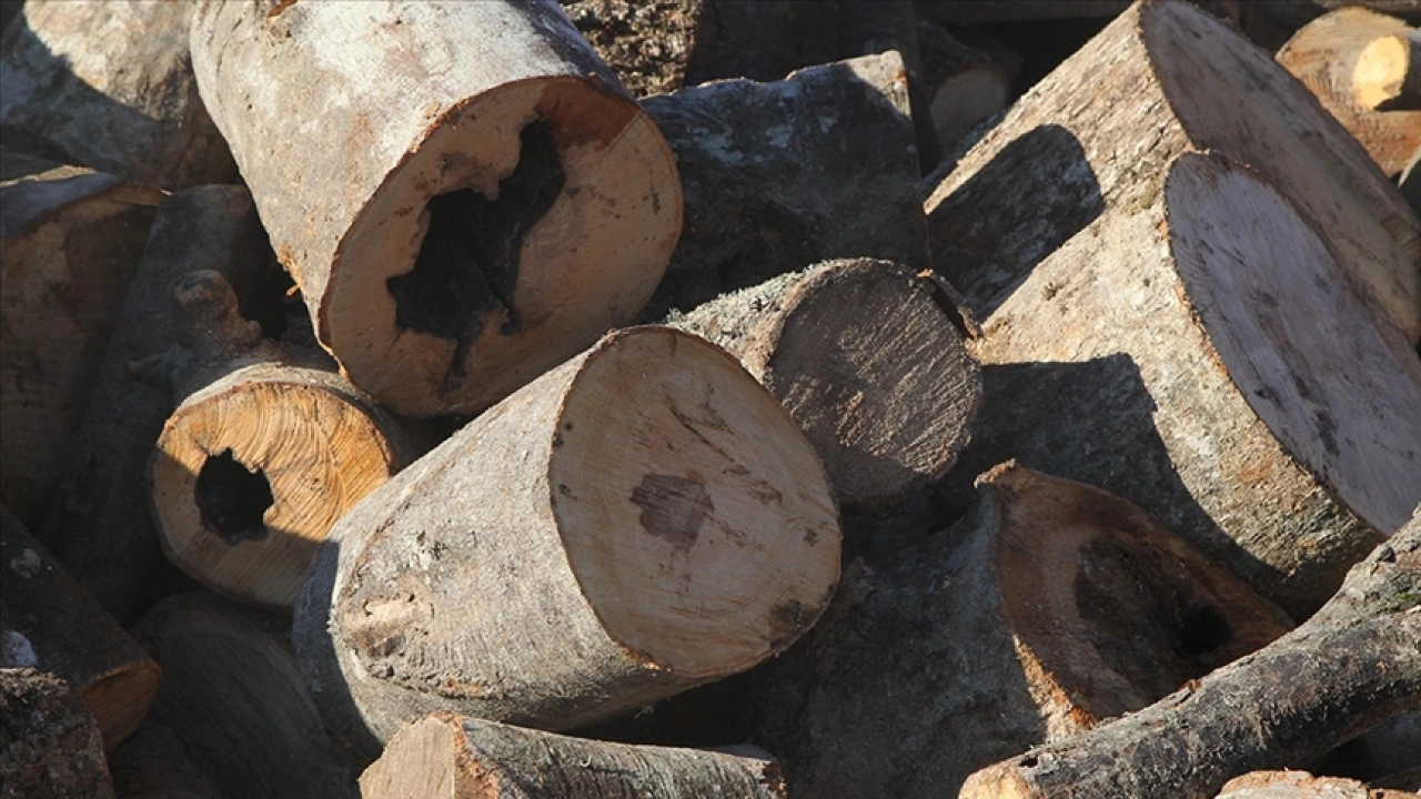 Ormanlar ka&ccedil;ak ağa&ccedil; kesimine karşı teknolojik imkanlarla 7 g&uuml;n 24 saat korunuyor