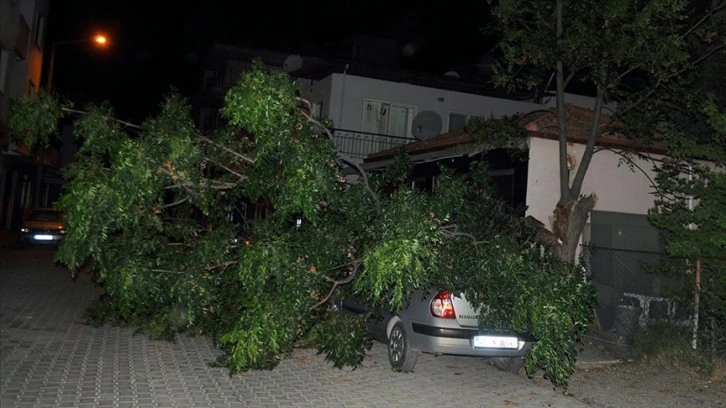 Ortaca'da fırtına etkili oldu