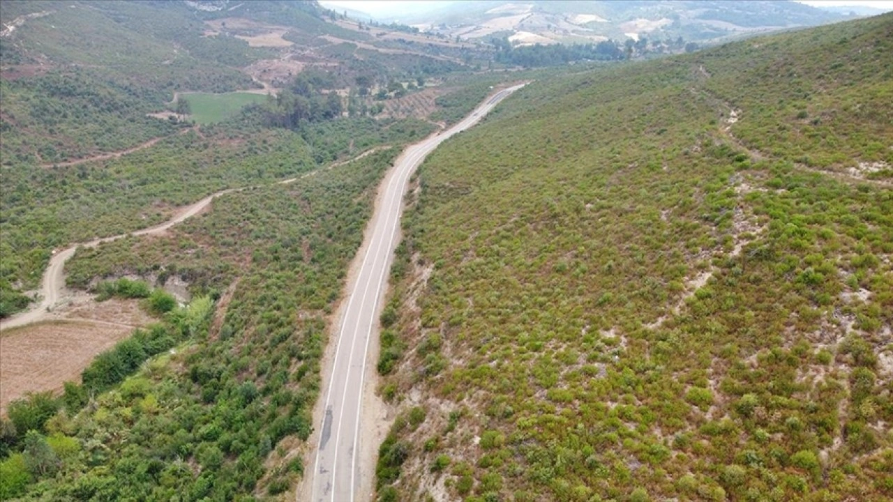 Osmaniye'de 4 yıl önce yanan alanlar, dikilen fidanlarla yeniden yeşerdi