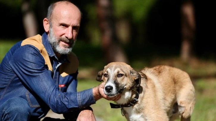 Otomobilin çarpmasıyla bir bacağını kaybeden köpeğe sevgiyle bakıyor