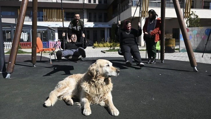 Özel çocuklar deprem travmasını özel eğitimli köpek 