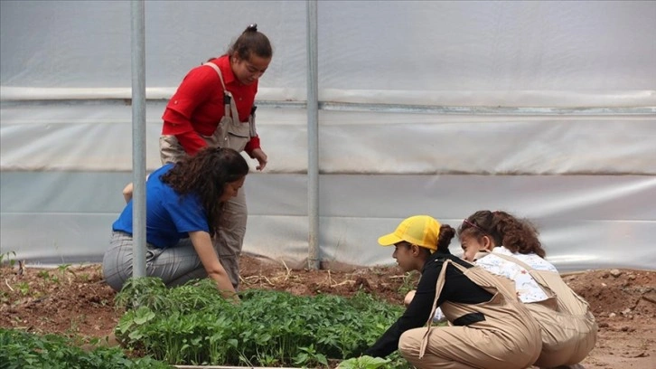 Özel öğrenciler sebze, meyve ve çiçek yetiştirerek becerilerini geliştiriyor