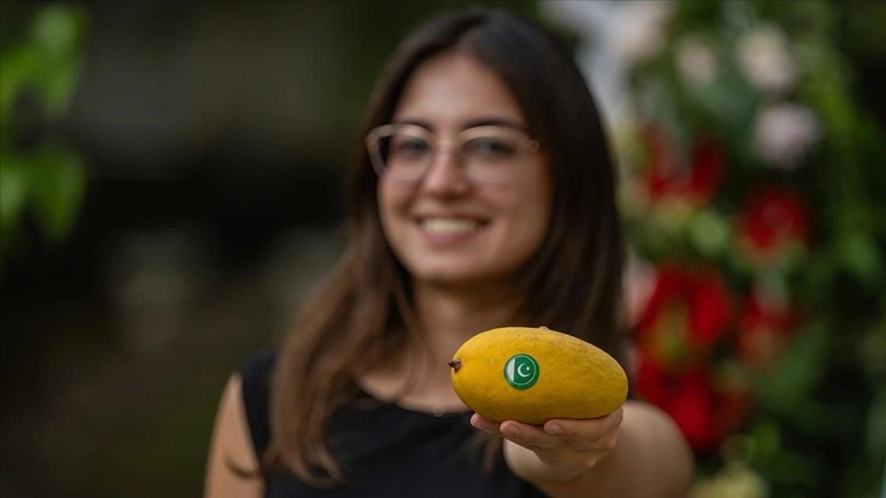 Pakistan'ın Ankara Büyükelçiliği 'Mango Festivali' etkinliği düzenledi