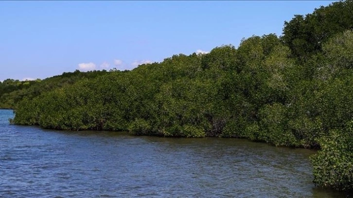 Papua Yeni Gine'deki kabile çatışmasında 53 kişi öldü