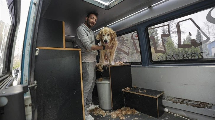 Pet kuaförüne dönüştürdüğü minibüsünde minik patileri tıraş ediyor