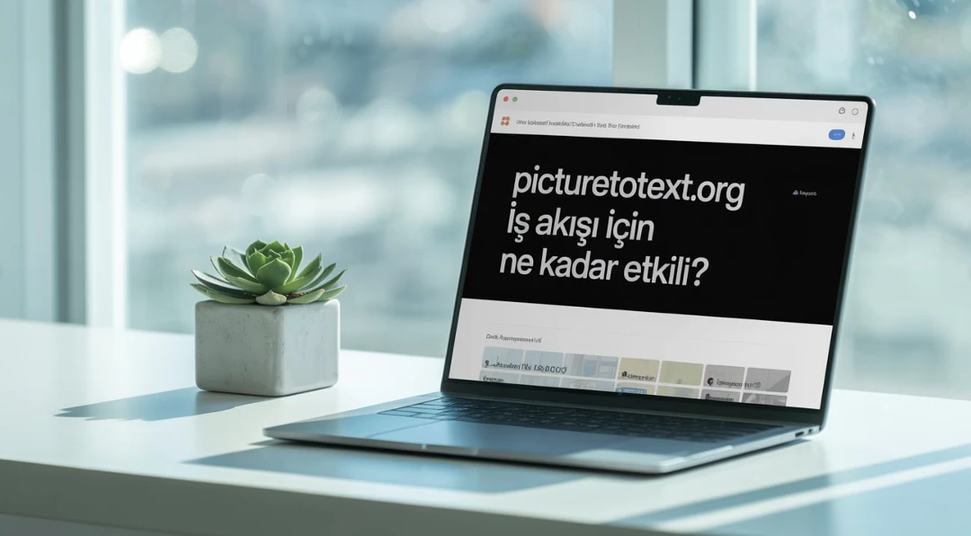 Picturetotext.org İş Akışı İçin Ne Kadar Etkili?