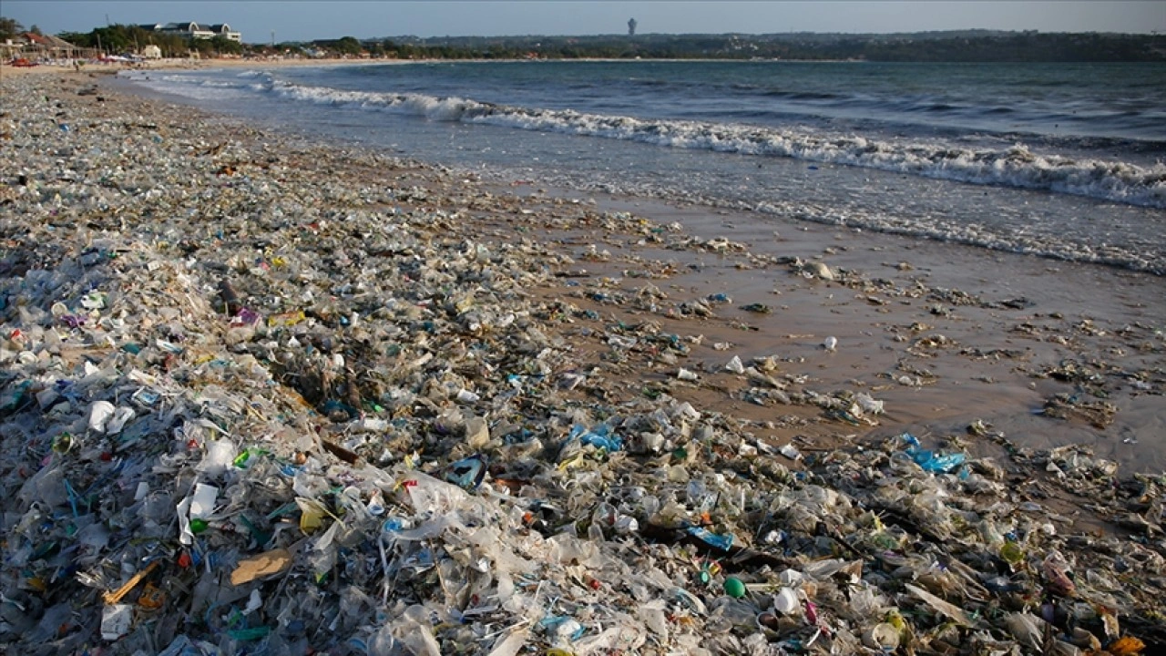 Plastik atıklar deniz canlılarını olumsuz etkiliyor