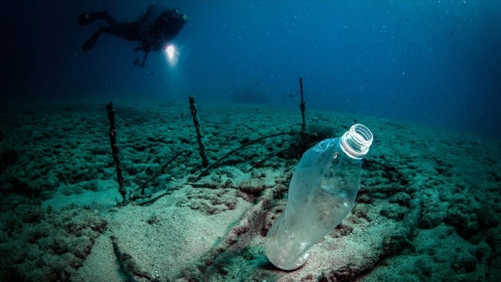 Plastik atıklar denizlerde biyoçeşitliliği olumsuz etkiliyor