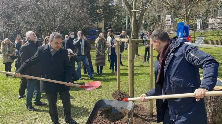 Polonyalı besteci Penderecki anısına Emirgan Parkı'na meşe fidanı dikildi