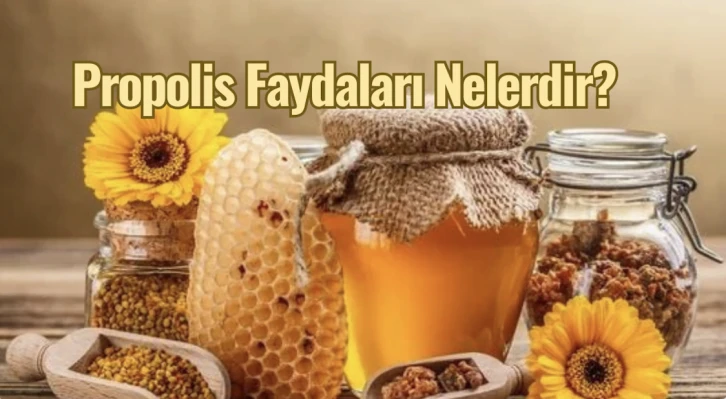 Propolis Nasıl Kullanılır?