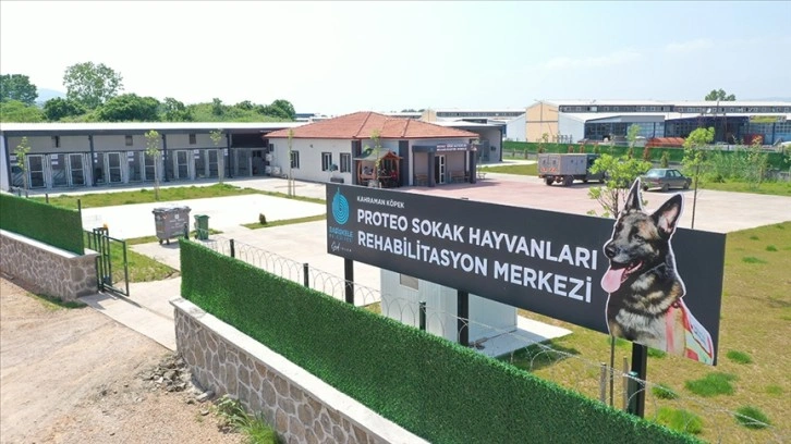 Proteo'nun adını taşıyan merkezde 2 binin üzerinde sahipsiz hayvan tedavi edildi